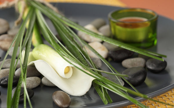 Patchouli Oil is One of the Best Essential Oils to Have at Your Disposal