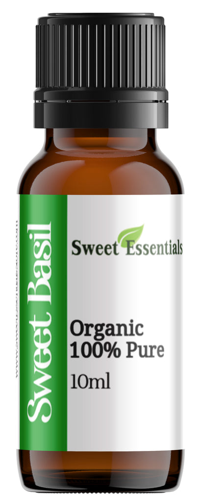 Pure Organic Sweet Basil Essential Oil - Imported From France