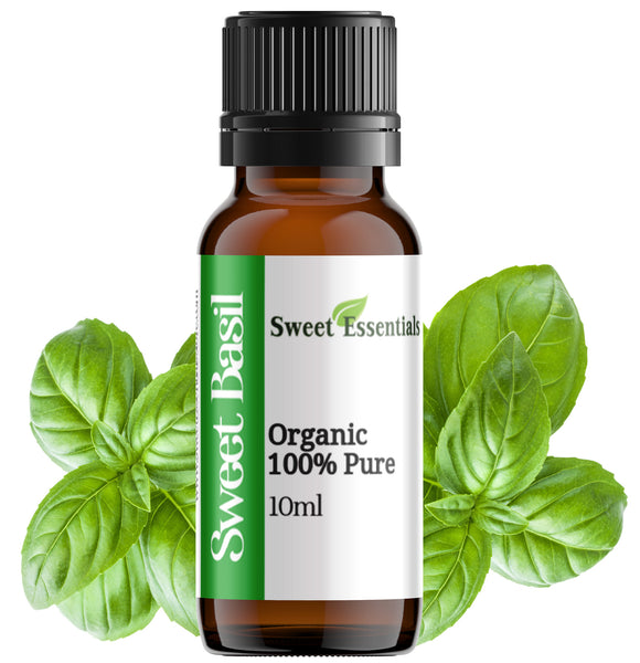 Pure Organic Sweet Basil Essential Oil
