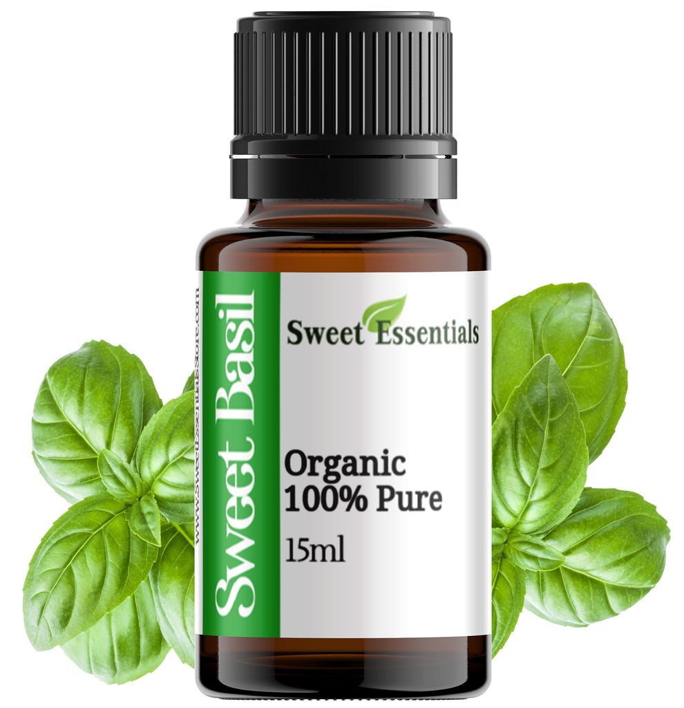 Pure Organic Sweet Basil Essential Oil - Imported From France