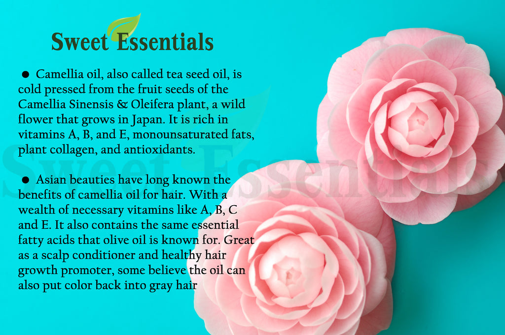 100% Pure Organic Unrefined Camellia Oil | Imported From Japan