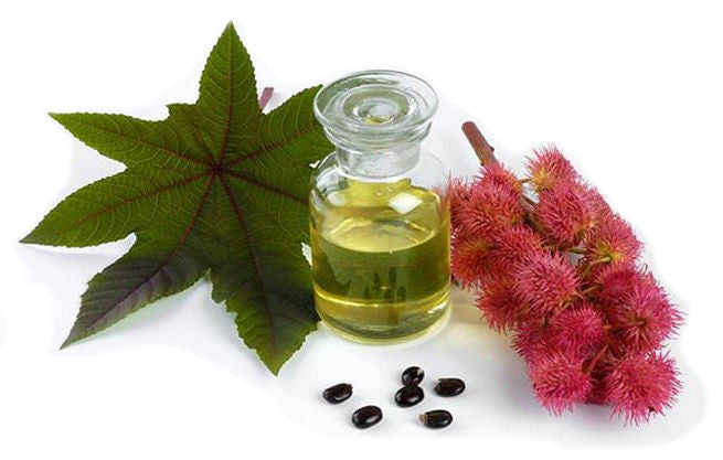 100% Pure Organic Castor Seed Oil | Imported From India - Sweet Essentials