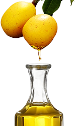 100% Pure Organic Virgin Marula Oil | Unrefined | Imported From South Africa