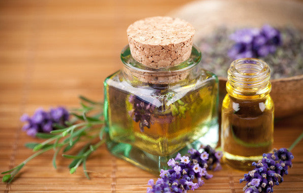 Lavender Essential Organic Oils Have Been Discovered to Induce Sleep