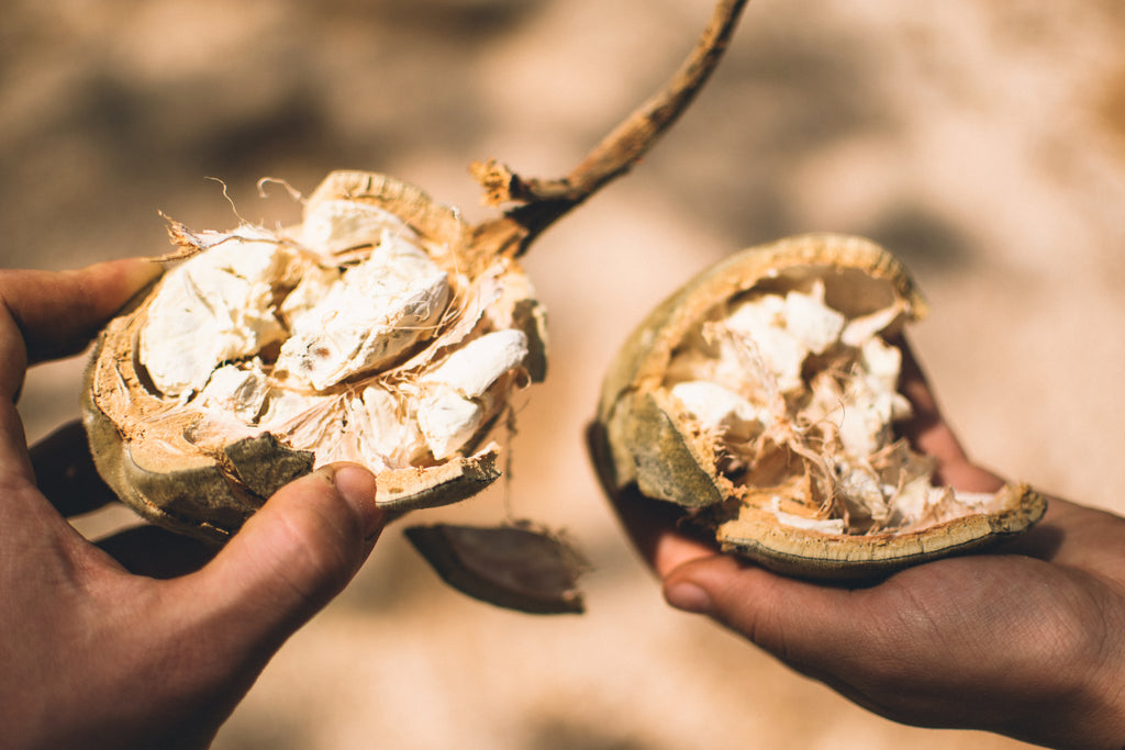 Organic Unrefined Virgin Baobab Oil - Imported From South Africa