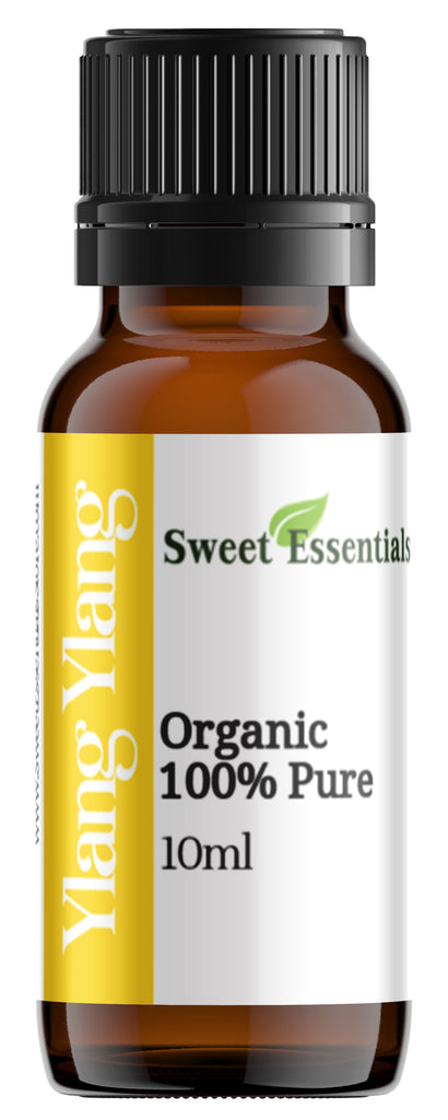 Klassik Mushukdan oqib chiqayotgan sperma toplamini tomosha qiling