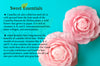100% Pure Organic Camellia Oil | Imported From Japan