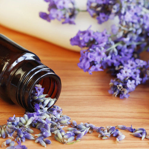 Pure Organic Lavender Essential Oil - Imported From France - Sweet Essentials