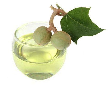 100% Pure Organic Kukui Nut Oil | Imported From Hawaii