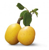100% Pure Organic Virgin Marula Oil | Unrefined | Imported From South Africa